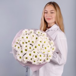 hrizantema romashka 5